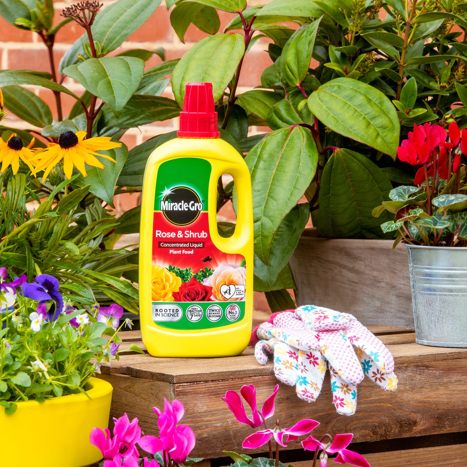 Miracle-Gro Rose & Shrub Concentrated Liquid Plant Food 800ml, product image 3